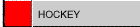 Hockey